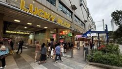 Lucky Plaza (D9), Shop House #634519101
